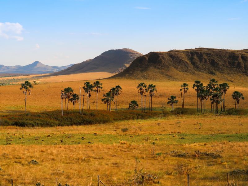Paisagem do cerrado goiano com Chapadas e trilhas na Chapada dos Veadeiros