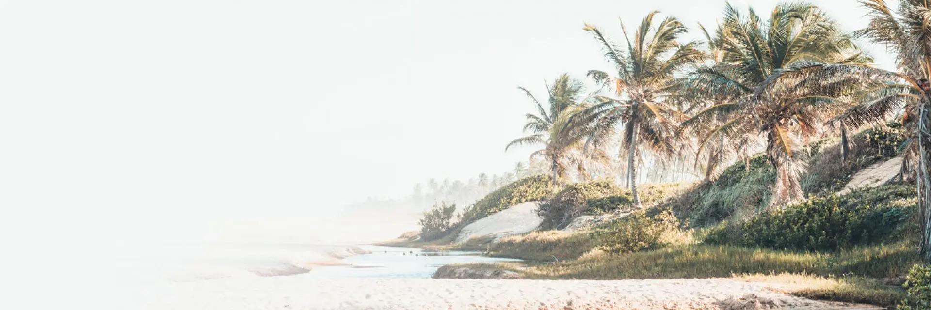 Imagem de uma praia com uma pequenas vegetação de coqueiros e areia branca, além das piscinas naturais na Bahia