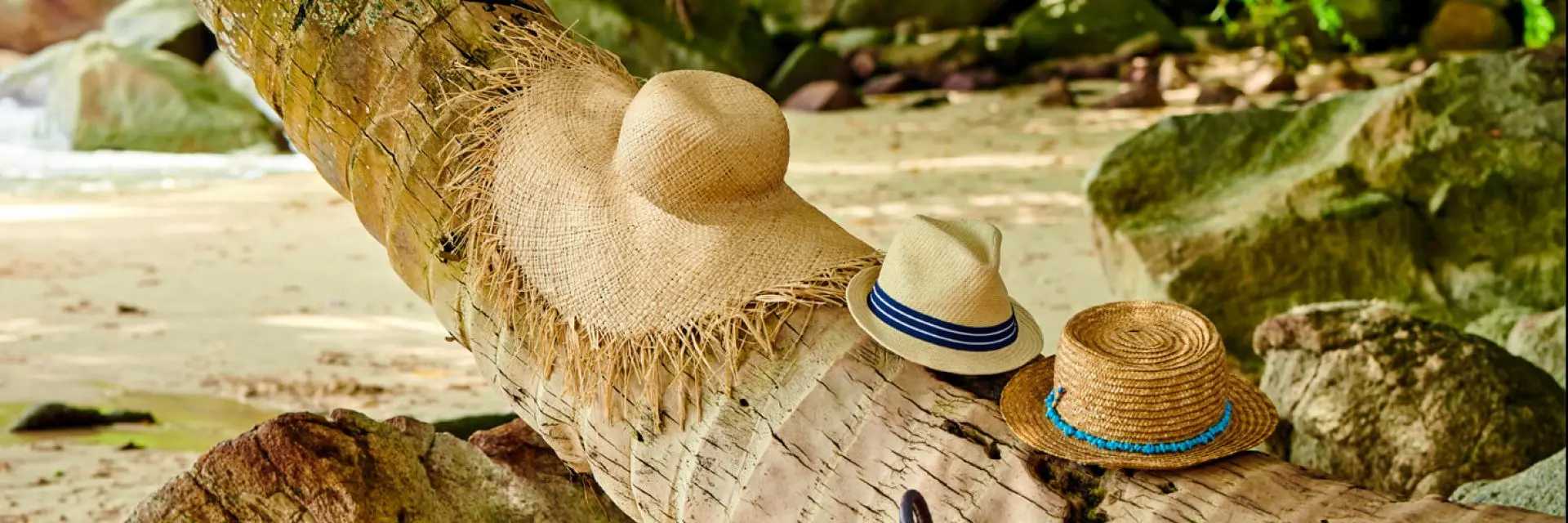 Imagem de chapéus enfileirados em um tronco numa praia de areia clara e vegetação abundante