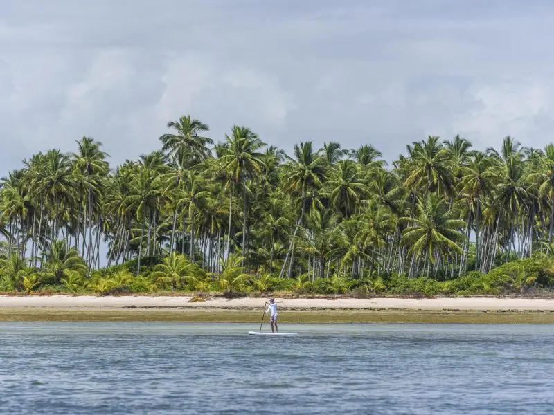 Pessoa fazendo Stand up Paddle no meio do mar da Praia de Ponta dos Castelhanos, com os coqueiros da orla ao fundo