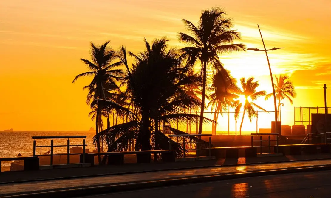 Vista do pôr do sol por trás de alguns coqueiros, na orla da Praia de Ondina, em Salvador