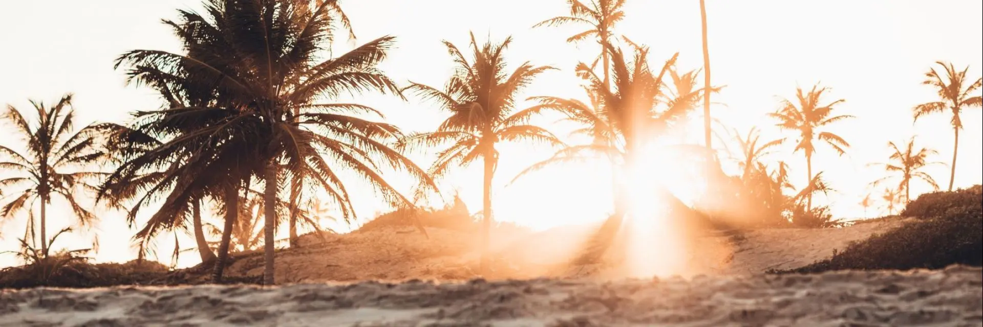 Imagem de uma praia com coqueiros