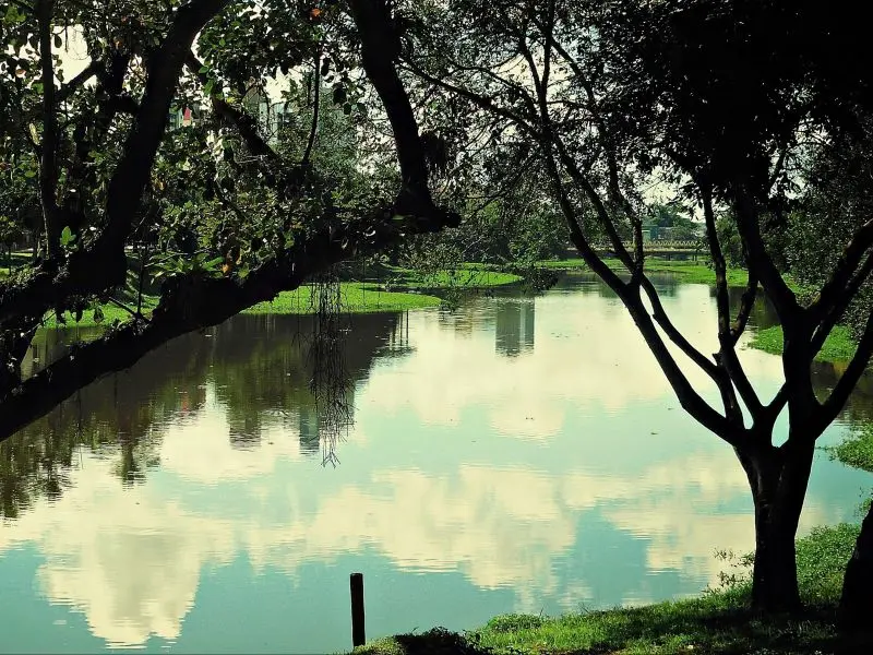 Lago entre árvores em um parque de Itabuna