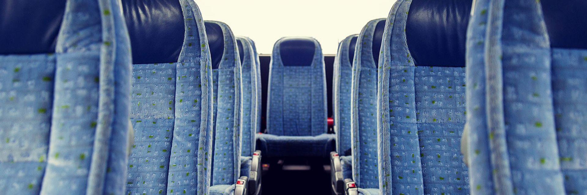 Piracanjuba a Caldas Novas Banner Post.jpg