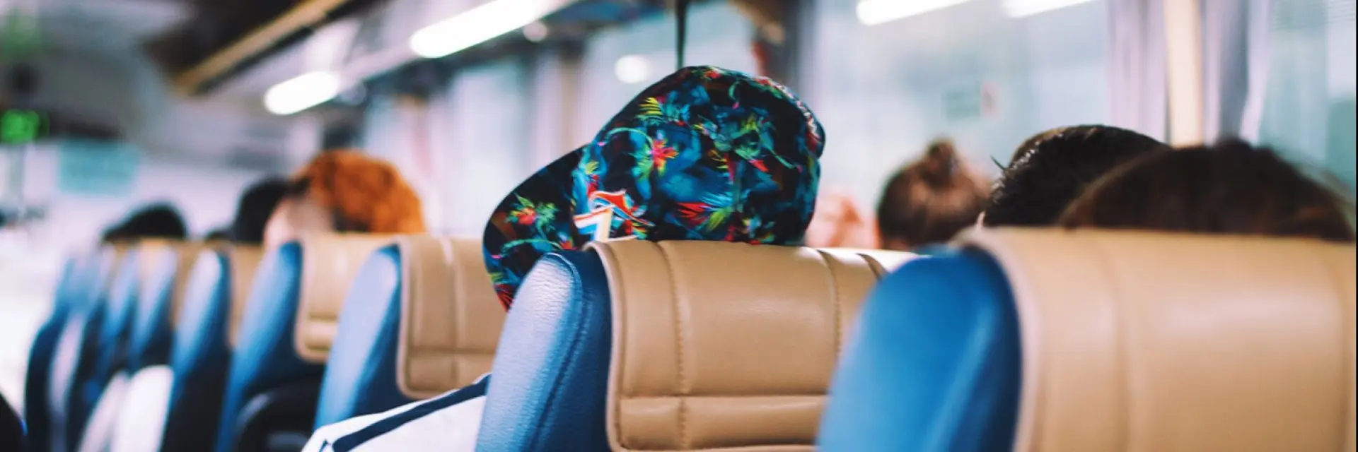 documentos para viajar de onibus