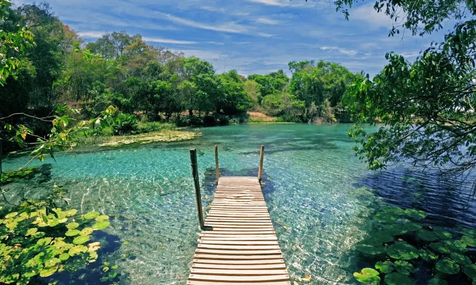 Escada de madeira que leva a um lago cristalino na Chapada Diamantina