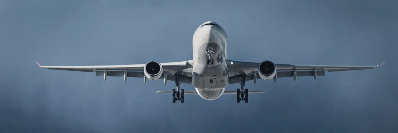 Gravida pode viajar de avião