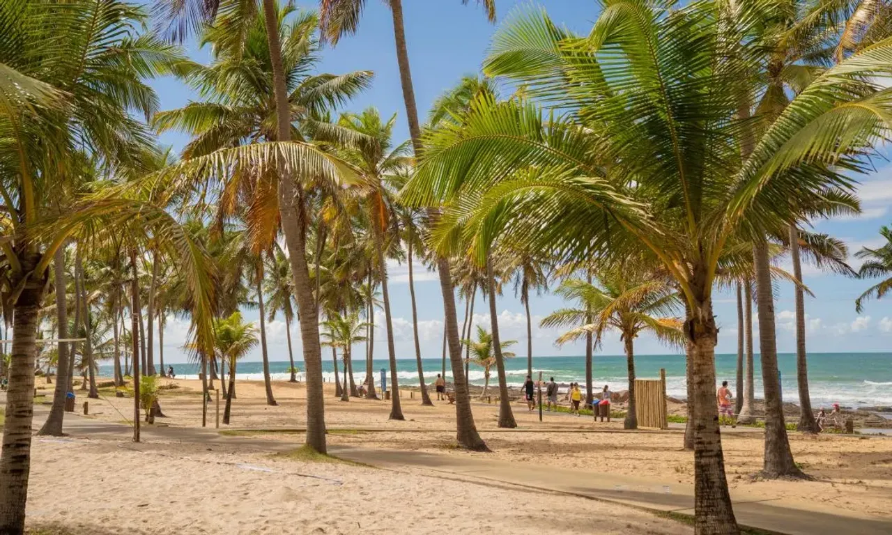 Coqueiros na areia de Costa do Sauípe, com pessoas caminhando até a praia