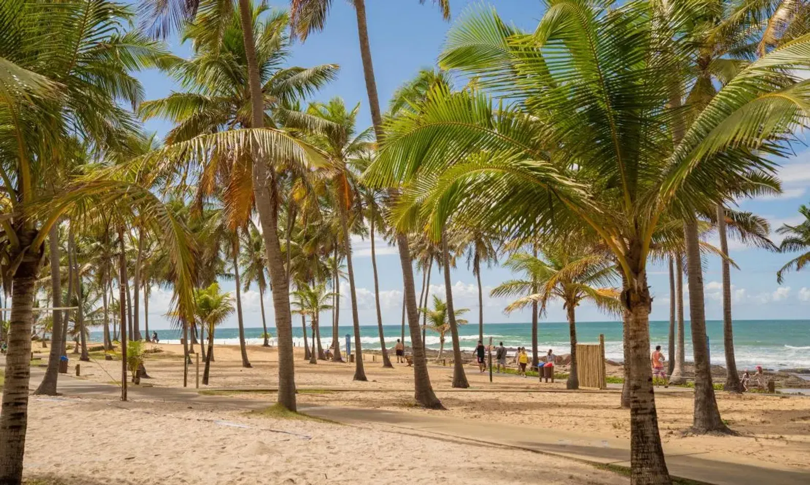 Coqueiros na areia de Costa do Sauípe, com pessoas caminhando até a praia