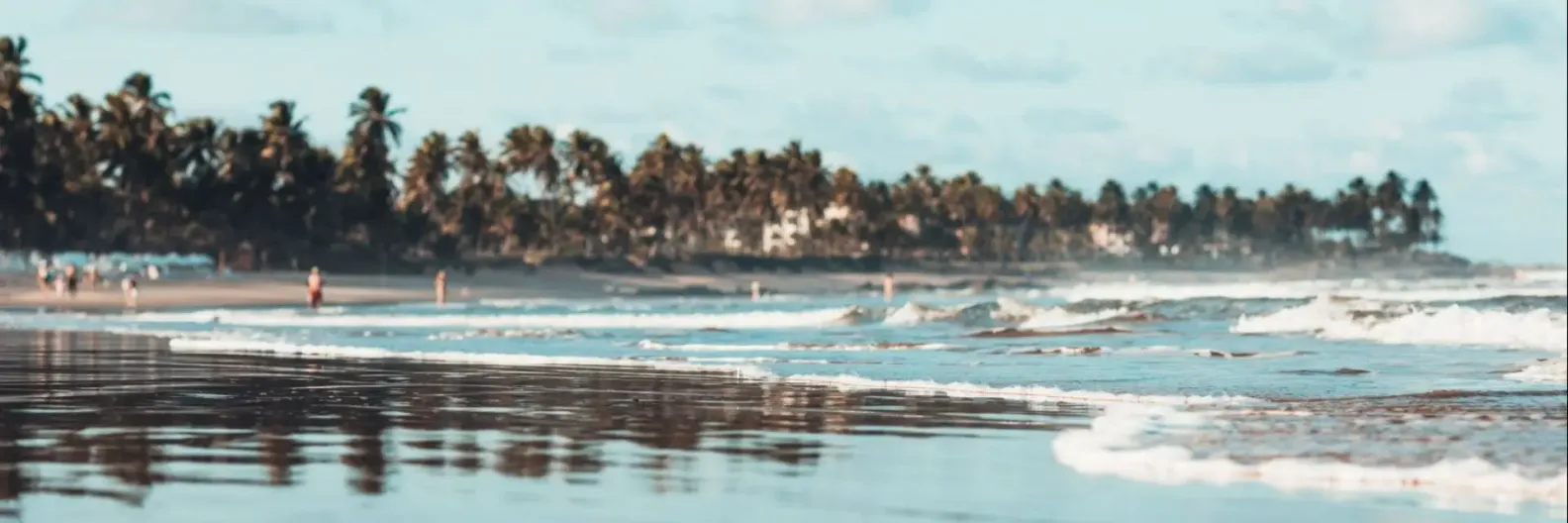 Imagem da Praia do Forte na Bahia