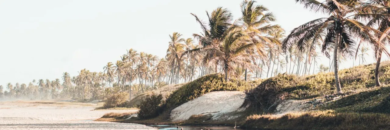 Imagem de uma praia com coqueiros e areia