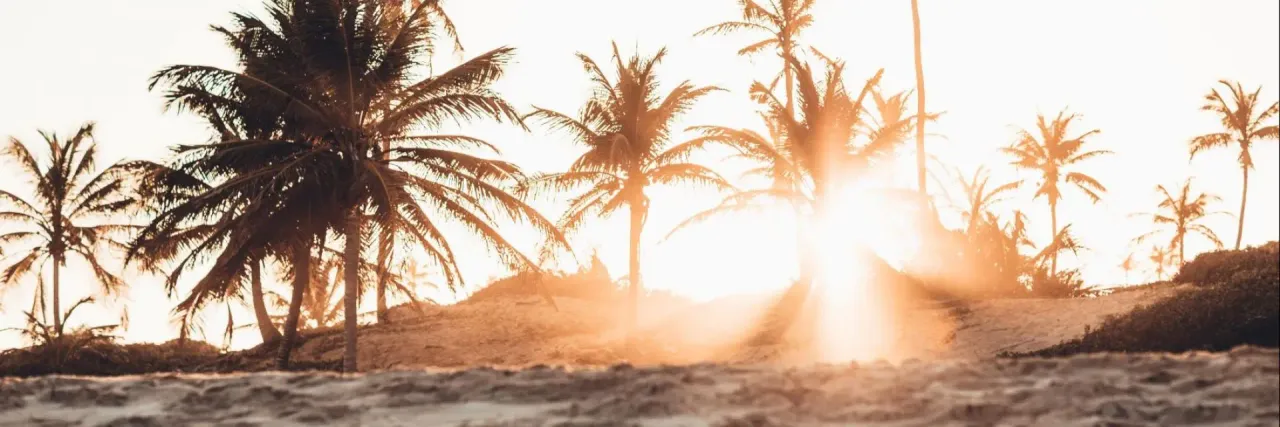 Imagem de uma praia com coqueiros