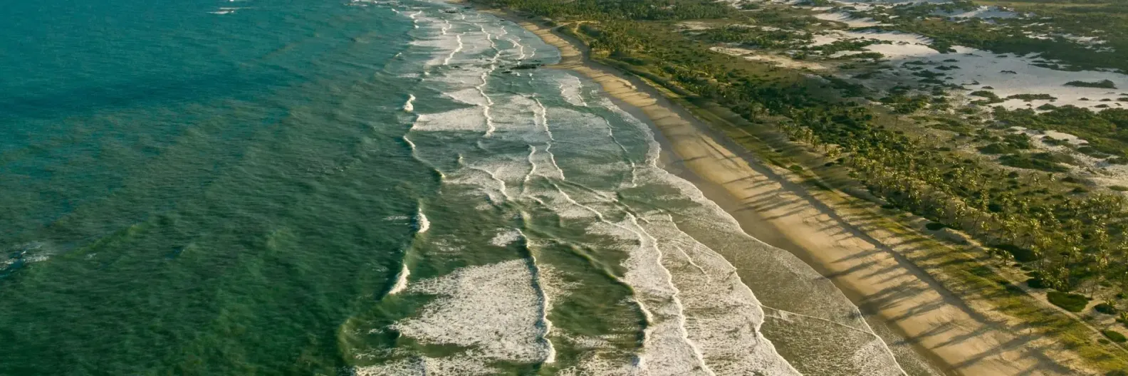 Resorts no Nordeste: escolha a melhor opção
