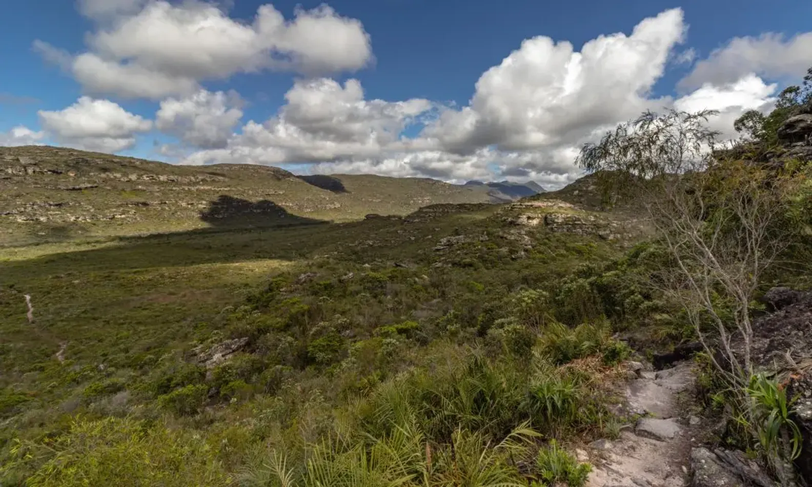 Imagem panorâmica em Mucuguê