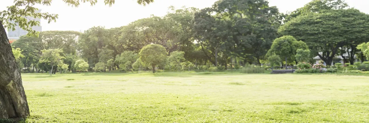 eco parque